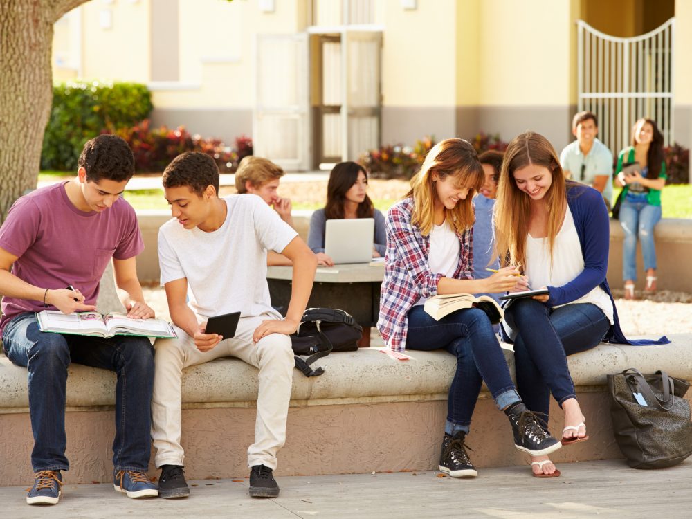 High School Students Hanging Out On Campus High School Students Hanging Out On Campus Relaxing